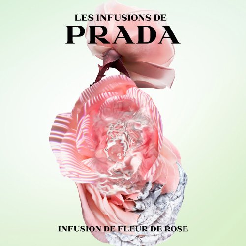 PRADA PARFUM Rosenaufguss - Eau de Parfum 8435137727100 PRADA PARFUM Rosenaufguss - Eau de Parfum 8435137727100